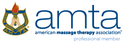 AMTA-Professional Logo